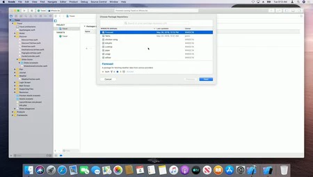 Xcode 11 Swift Package Manager