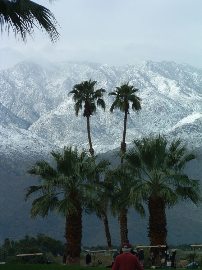 American Way of Eating