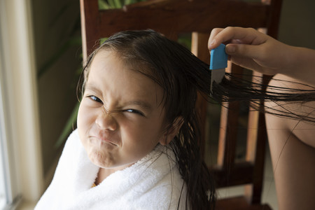 Peinando a una niña con liendrera
