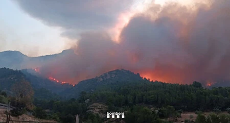 Incendio en el Baix Ebre (Tarragona)