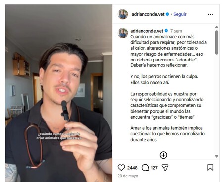 Veterinario