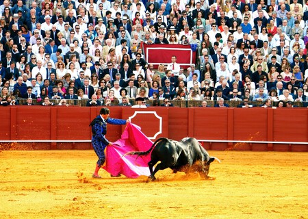 Toros