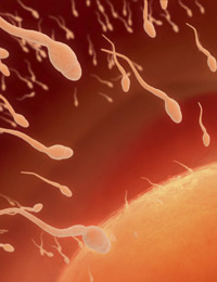 Estudio sobre la fertilidad en nuestro país