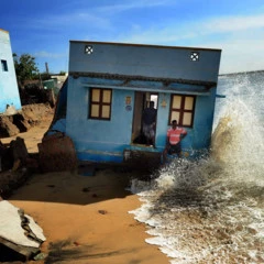 Foto 2 de 4 de la galería environmental-photographer-of-the-year-2016 en Xataka Foto