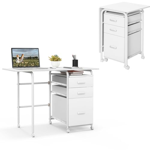 LIFEZEAL Escritorio Plegable