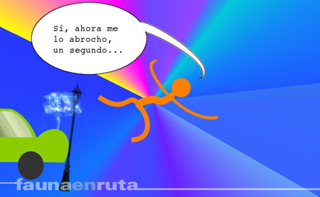 fauna en ruta - cinturón de seguridad