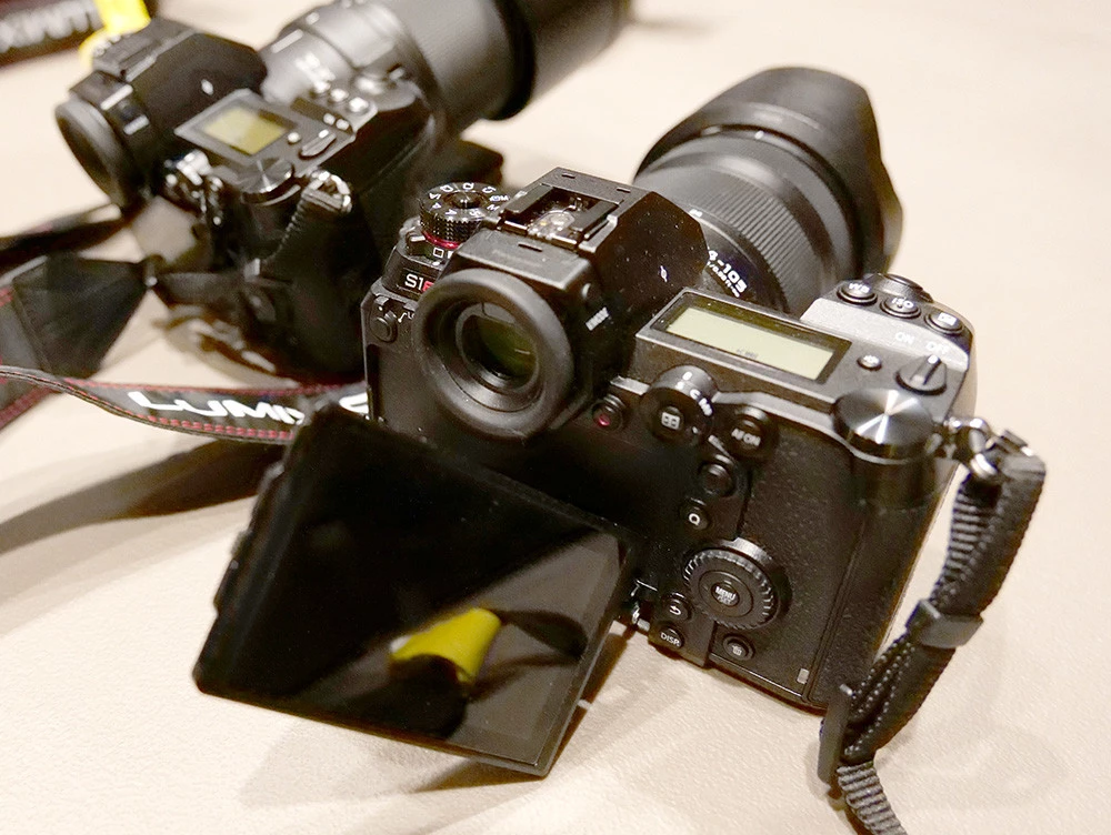 Foto de Muestras Panasonic S1R y S1 (9/34)