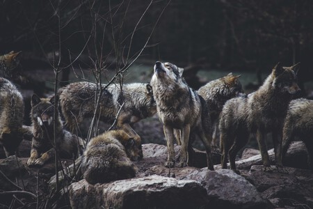 Thomas Bonometti Dtfyrukg7uy Unsplash