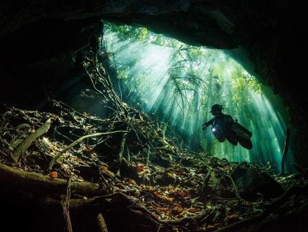 Espectaculares fotografías submarinas en los 'British Society of Underwater Photographers Awards 2014'