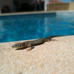 Foto 1 de 34 de la galería asus-zenfone-ar en Xataka