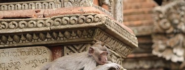 El Templo sagrado de los monos de Ubud en Bali