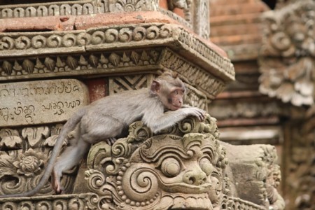 El Templo sagrado de los monos de Ubud en Bali