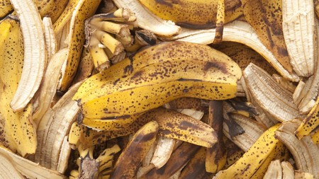 Plátano