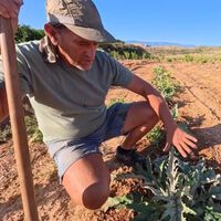 Juan, agricultor: "Con 25 años compré mi primera finca y con 33 dejé un empleo estable con 14 pagas" 