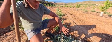 Juan, agricultor: "Con 25 años compré mi primera finca y con 33 dejé un empleo estable con 14 pagas" 