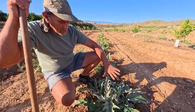 Agrricultor