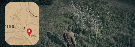 Condimentos Susan Rdr2