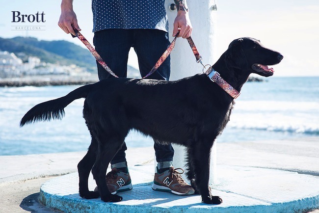 Foto de Brott Modern Dog Primavera-Verano 2014 (17/17)