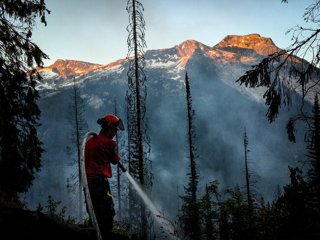 Bombero Canada Incendio Zombi