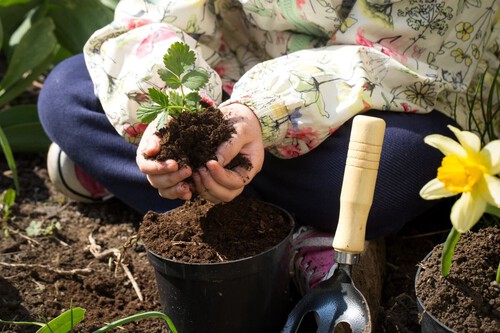 Plantando