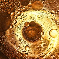 El agua es el nuevo oro líquido, y los que toman posiciones estratégicas en ella son los que menos agua tienen