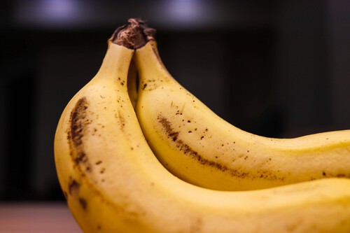 Pexels Mrpugo 33203196