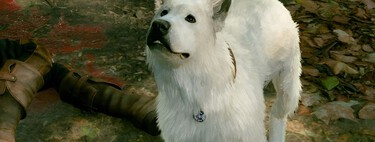 "Tengo principios". Un tipo ha matado a 583 NPC en Baldur's Gate 3 y los ha prensado en un osito de peluche, pero a los perros ni los ha tocado