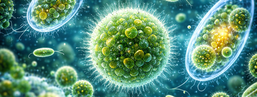 Simplesmente não deveria estar lá: cientistas encontram sinais de vida antiga em um lugar onde ela não deveria existir