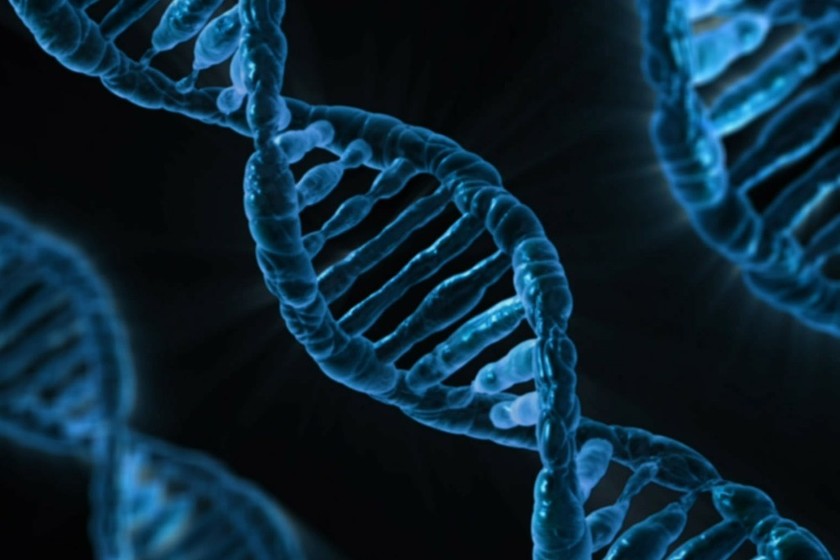 nuevo marcador de cáncer de próstata nuevo marcador de cáncer de próstata