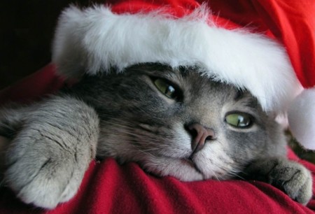 ¿Qué le vais a pedir a Papá Noel?: la pregunta de la semana