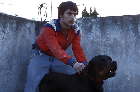 Amores Perros Pelicula Netflix