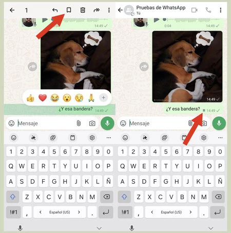 Whatsapp 2 フラグ