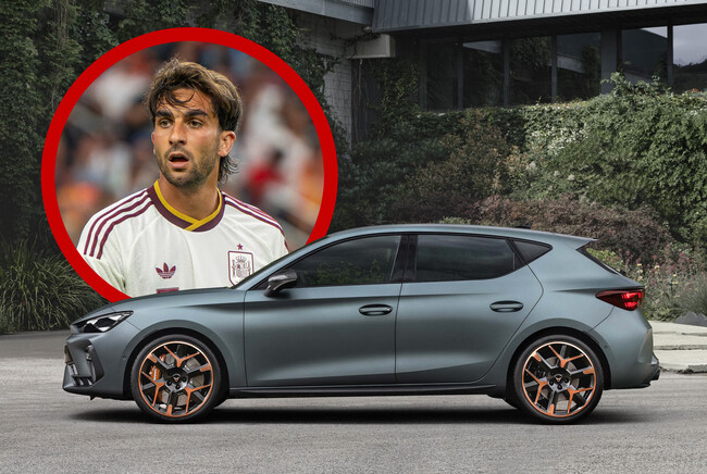 Ferran Torres Coche