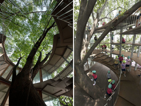 Kindergarten Around Tree Zelkova Fuji Tezuka Architects 32