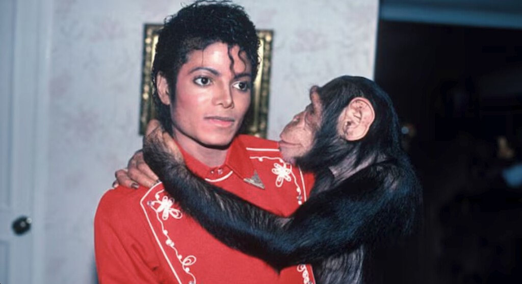 Qué fue de Bubbles, el mono del Rey del Pop que ha sido representado con CGI en 'Michael' para alegría de PETA: "Elogiamos la decisión de Lionsgate"