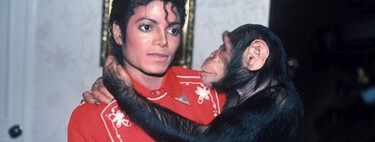Qué fue de Bubbles, el mono del Rey del Pop que ha sido representado con CGI en 'Michael' para alegría de PETA: "Elogiamos la decisión de Lionsgate" 