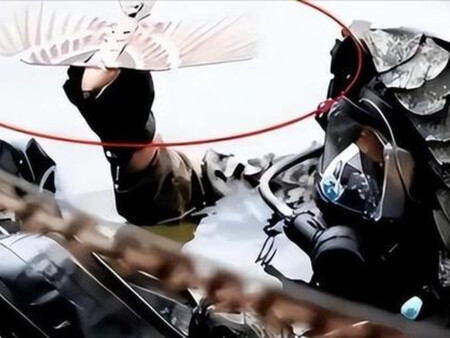 China Drones Forma Aves