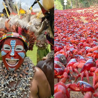 Google se olvida de 120 millones de cangrejos. Ahora, quiere construir un cable submarino bajo una isla con 10,8 millones de habitantes 