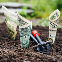 Qué es el crowdequity y cómo puede ayudar a financiar tu empresa 