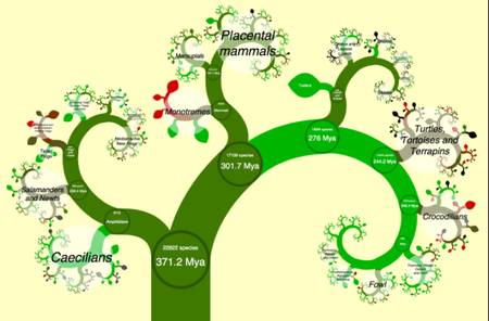Un árbol de la vida interactivo