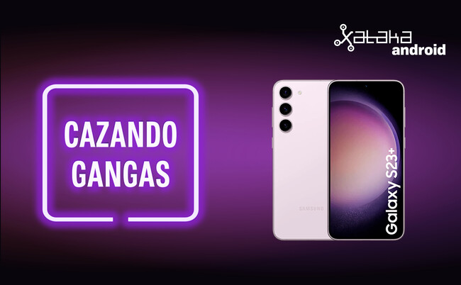 Cazando Gangas