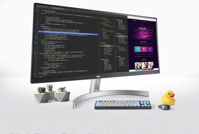 Monitor