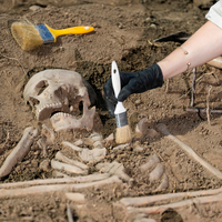 Vestígios de antigo DNA revelam origem da primeira pandemia que dizimou o Império Bizantino — e micróbio continua ativo atualmente 