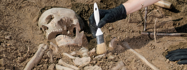 Vestígios de antigo DNA revelam origem da primeira pandemia que dizimou o Império Bizantino — e micróbio continua ativo atualmente 