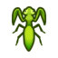 Praying mantis
