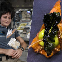 Si la pregunta es "qué comeremos en el espacio", la Agencia Espacial Europea tiene clara su apuesta: grillos