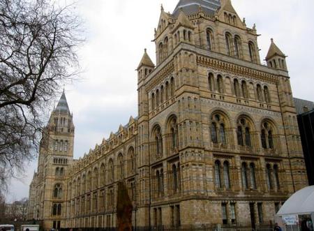 Museo Historia Natural London