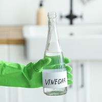 O vinagre realmente mata bactérias? Cientistas testaram o vinagre contra germes — o resultado surpreende 