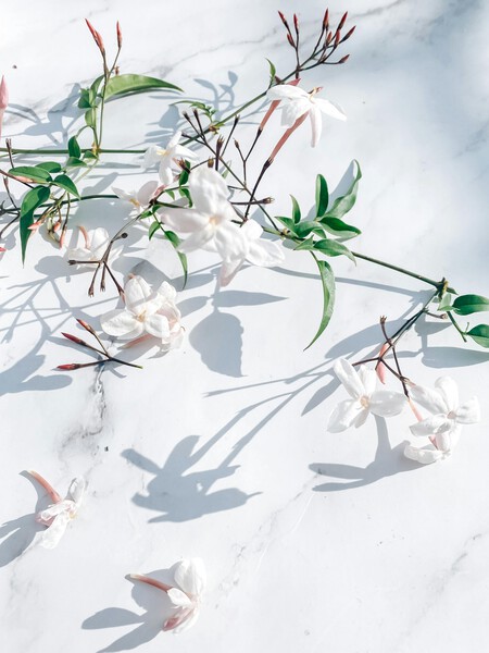 Pexels Studio Naae 15863863 17795179