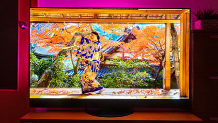 Panasonic Z95b Imagen 7